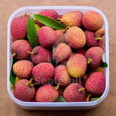 kupować Maszyna do pakowania świeżego litchi z stali nierdzewnej w modyfikowanej atmosferze produkcja online